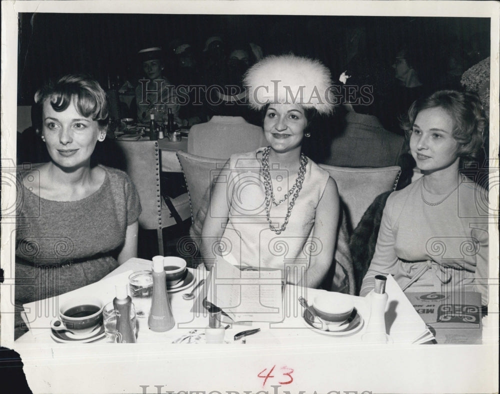 1964 Press Photo Mrs. Ralph Stevens, tea party - RSJ02135 - Historic Images