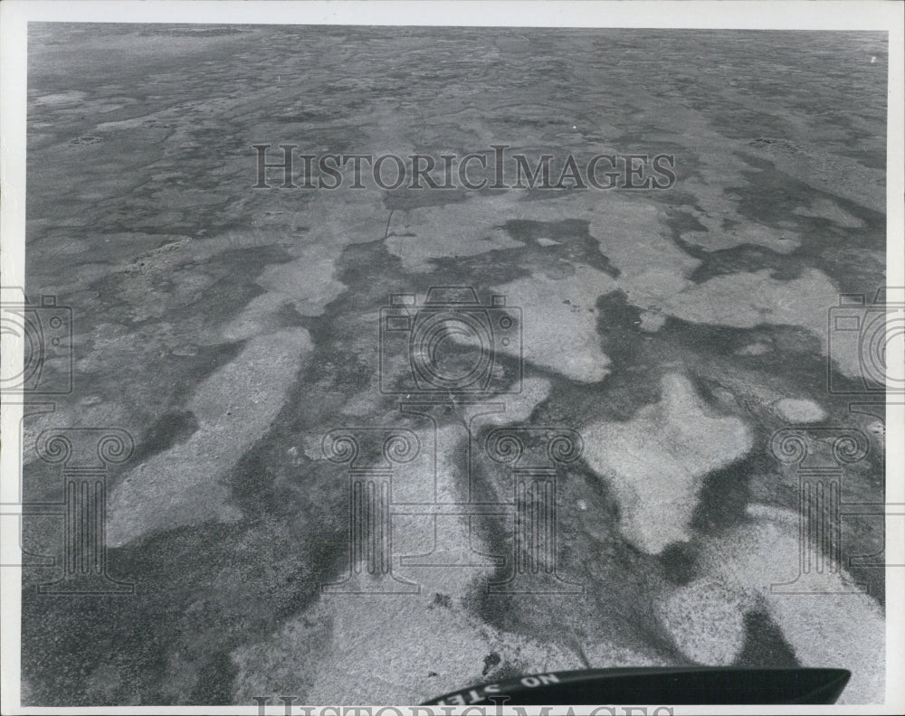 1970 Press Photo Aerial of Wetlands, Collier County, Florida - Historic Images