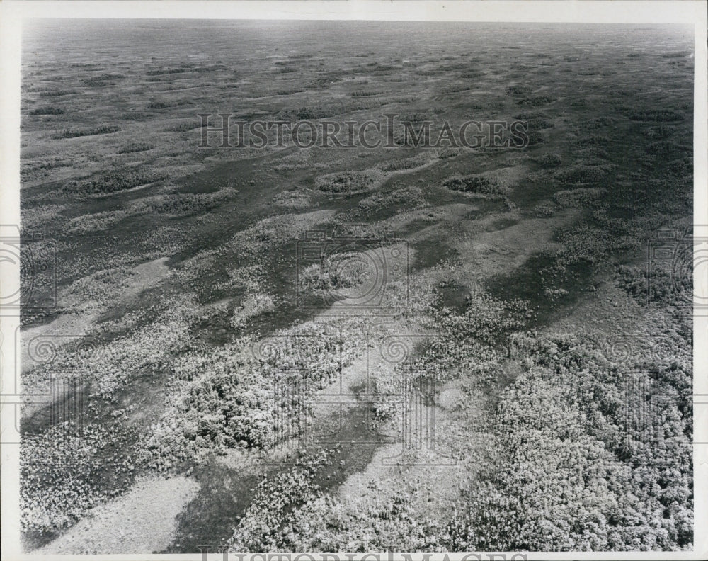 1970 Press Photo Aerial of Wetlands, Collier County, Florida - Historic Images