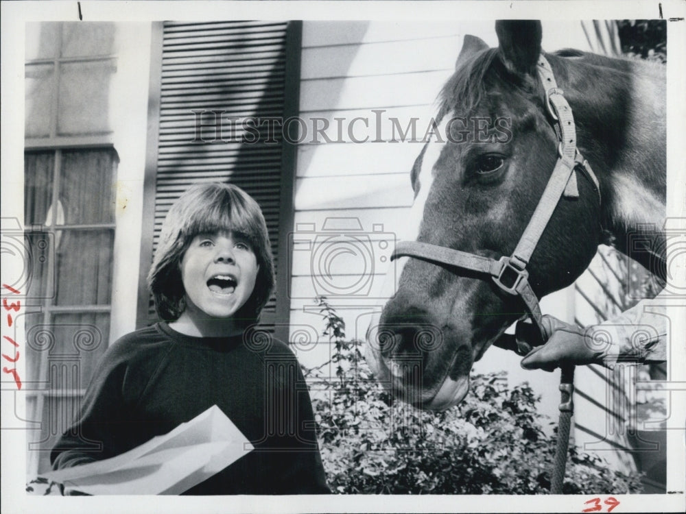 1981 Press Photo Actor Adam Rich, Eight is Enough, ABC Television - Historic Images