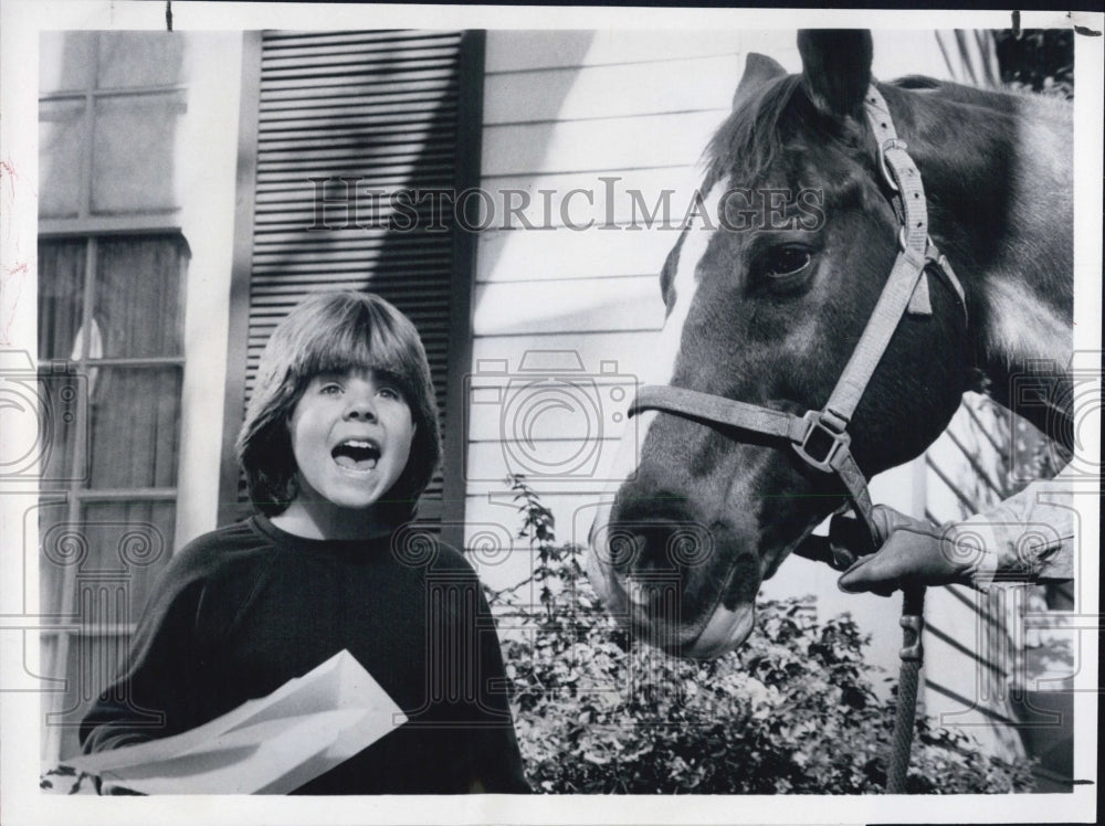 1981 Press Photo Actor Adam Rich, Eight is Enough, ABC Television - Historic Images