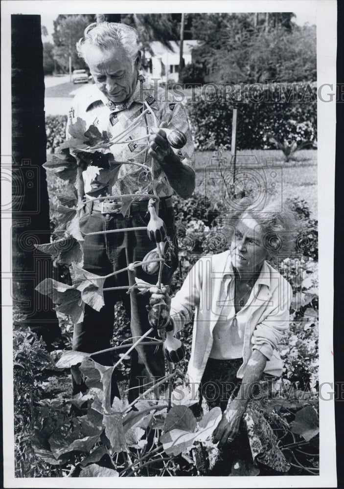 1980 Press Photo Kathryn and Renato Boffa growing Gourds - Historic Images