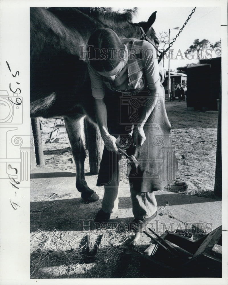 1970 Press Photo Farrier Jan Nemeth Georgevitch files hoof &amp; puts on horseshoe - Historic Images