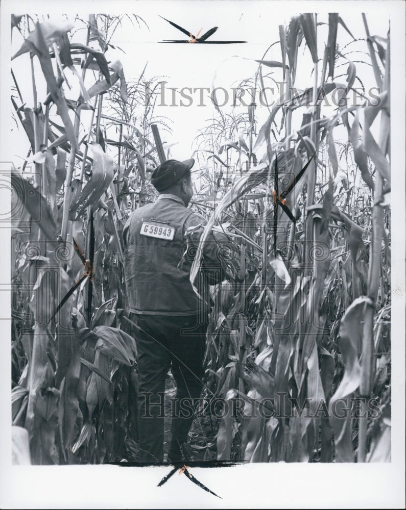 1963 Press Photo A man hunting for something - Historic Images