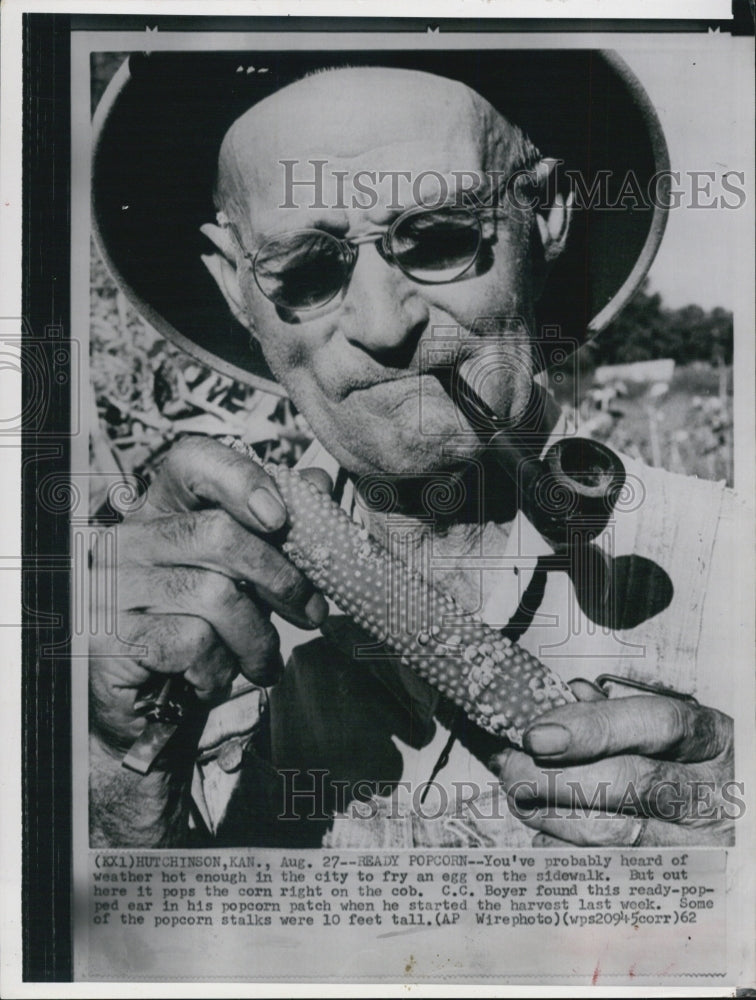 1962 Press Photo CC Boyer Found Corn Popped Before Harvesting - RSJ07065 - Historic Images