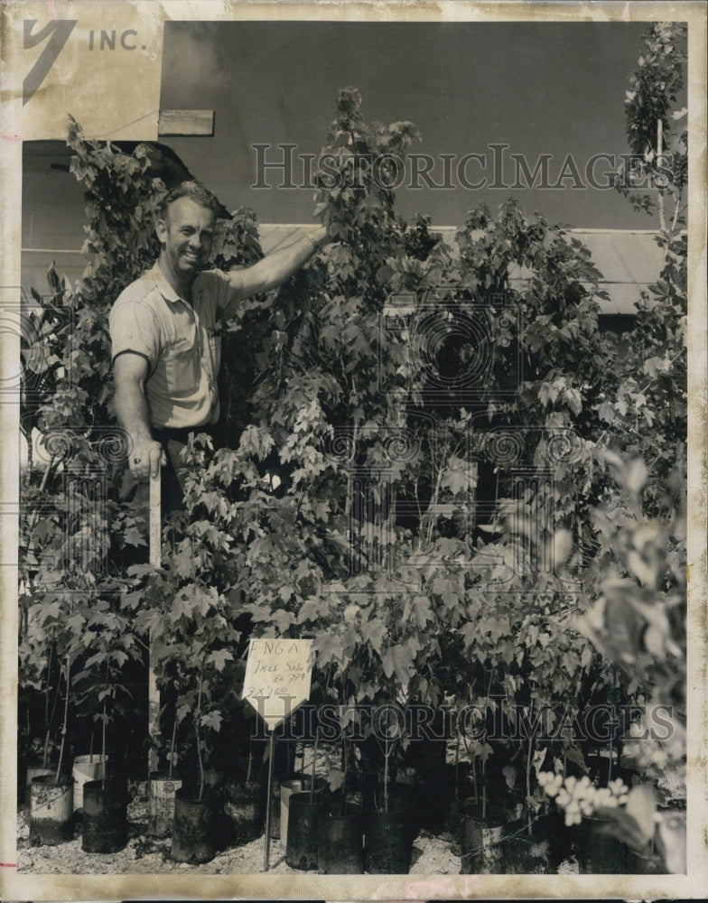 1966 Press Photo Harmon Carroll Secretary Of Pinellas Nurseymen &amp; Growers Assn - Historic Images