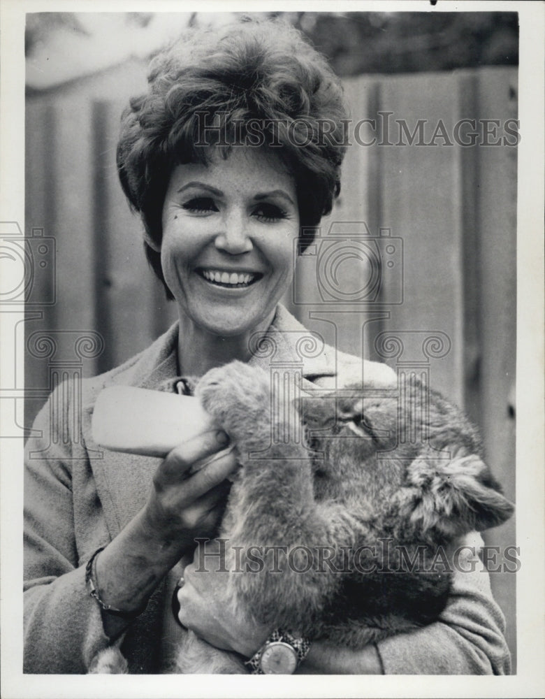 Press Photo Pat Derby and lion cub on &quot;Big Cats, Little Cats&quot; - RSJ11787 - Historic Images