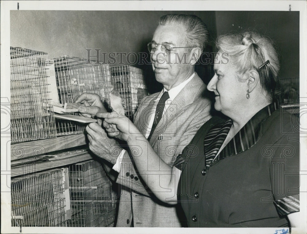 1953 Press Photo Mr. and Mrs. Howard Dickinson with their 200 birds. - RSJ11961 - Historic Images