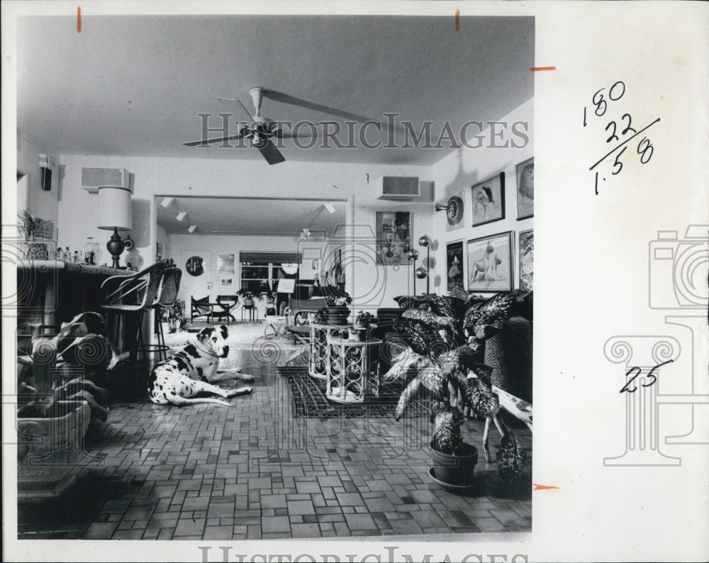 1970 Press Photo Tony Lopez photographed Bismarck the dog at home of his owners - Historic Images