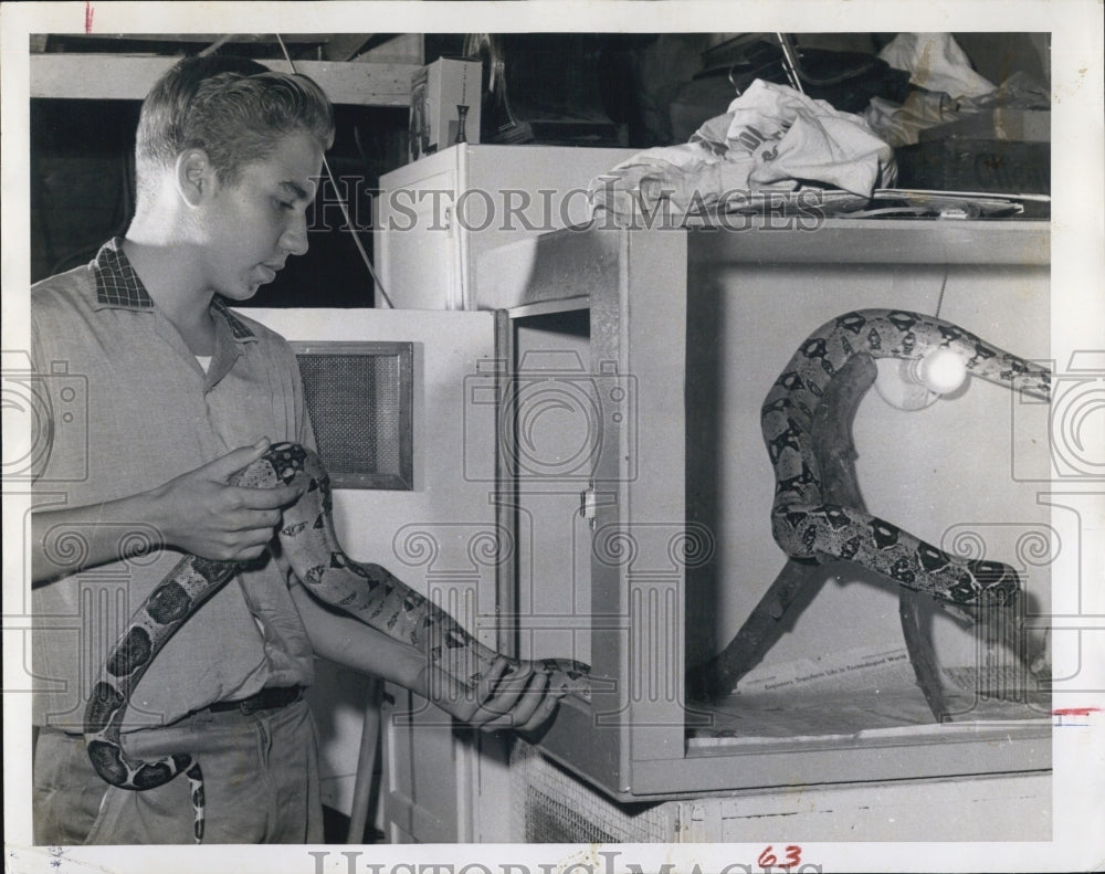 1959 Press Photo Constrictor in Cage in Garage - RSJ12537 - Historic Images