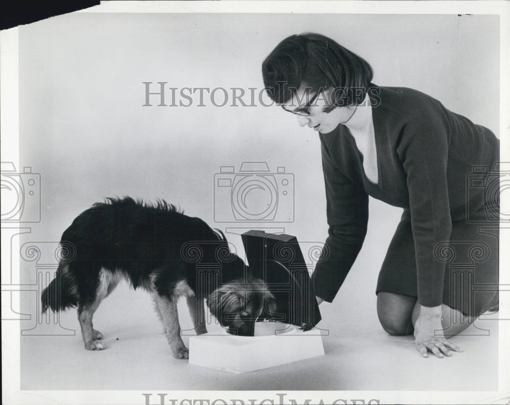 1965 Press Photo Dog Eating Take-out Dow Chemical Co - Historic Images