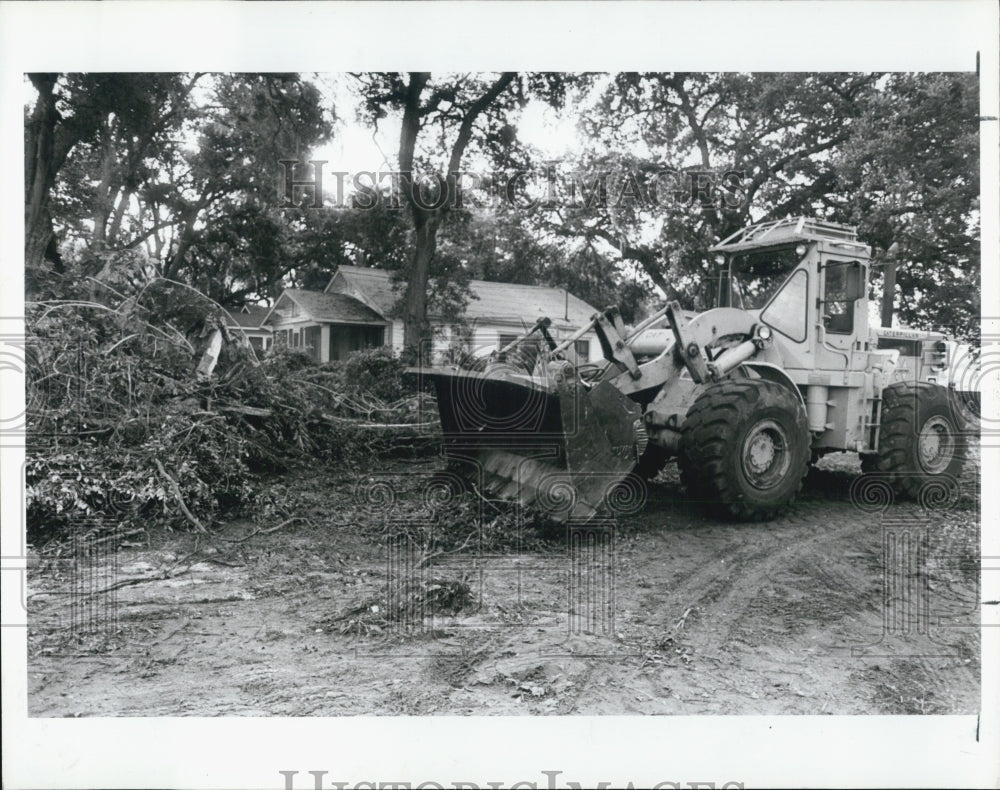 1987 Press Photo Southland Corp Tree Removal for 7 Eleven Store - RSJ13559 - Historic Images