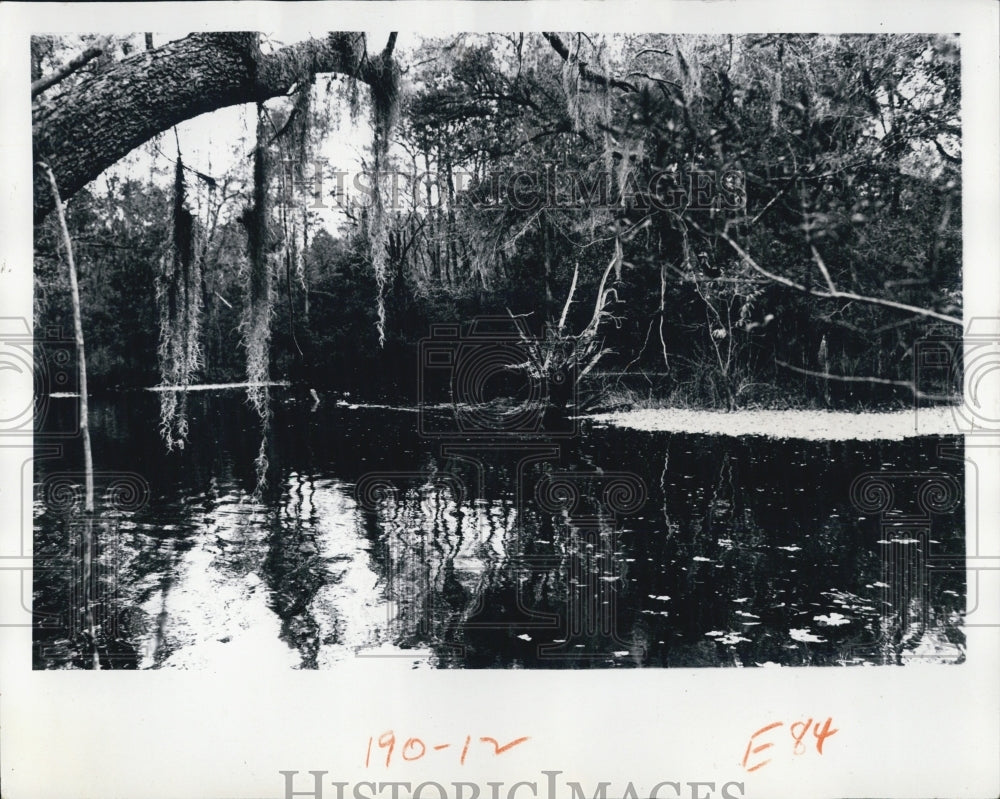 Press Photo Calm Dark Waters Withacoochie River - RSJ14689 - Historic Images