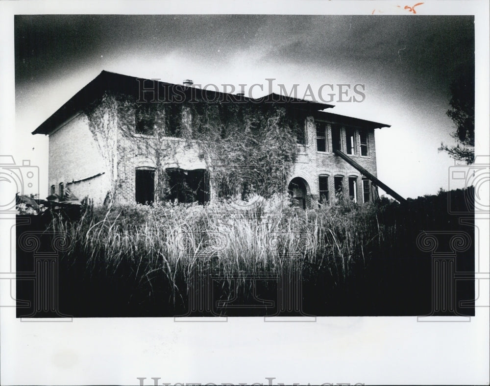 1974 Press Photo Limestone Florida Lumber Boomtown - RSJ15777 - Historic Images