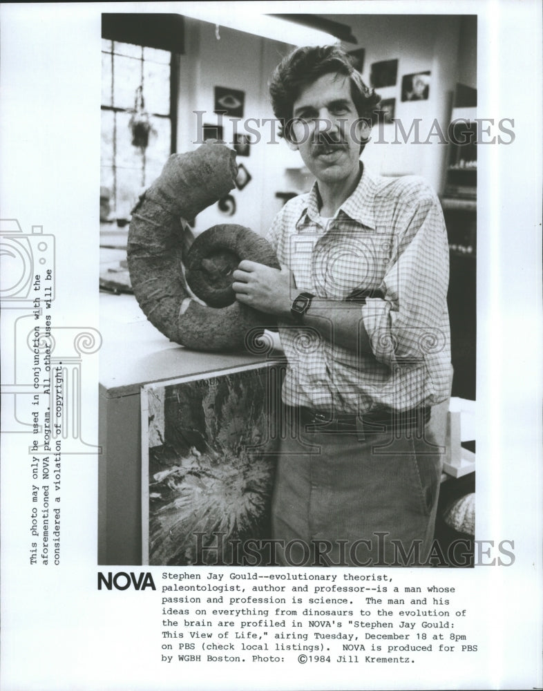 1984 Press Photo Stephen Jay Gould Evolutionary Theorist PBS Special NOVA - Historic Images