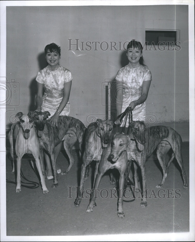 1962 Press Photo The Chin Twins of Boston, Cleo and Carol - Historic Images