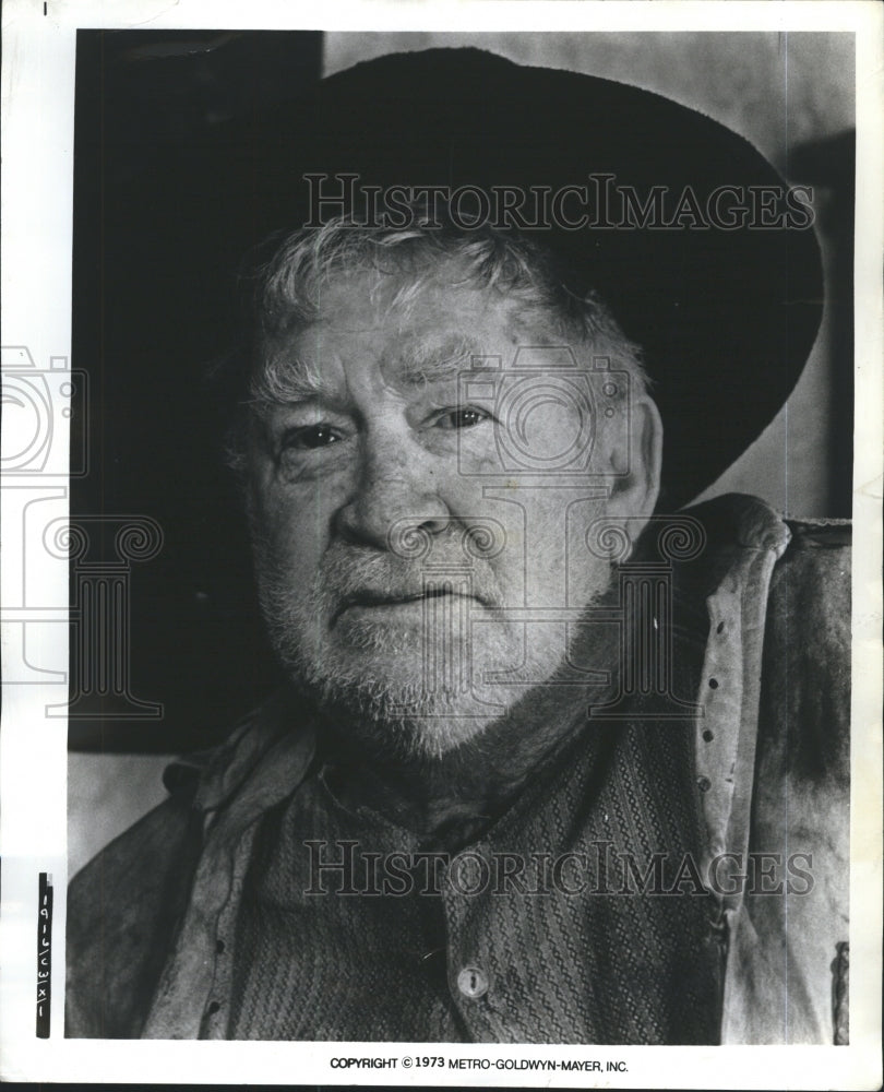 1973 Press Photo Chill Wills, Actor - Historic Images