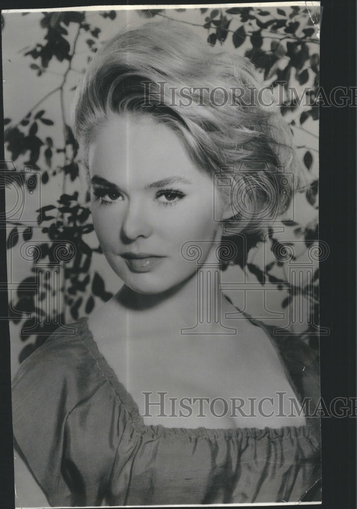 1965 Press Photo Actress Joey Heatherton posing for photo - Historic Images