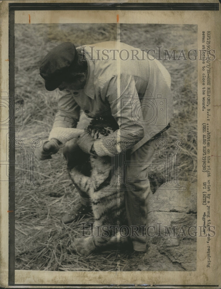 1972 Press Photo TV Personality Jack Paar and a lion - Historic Images