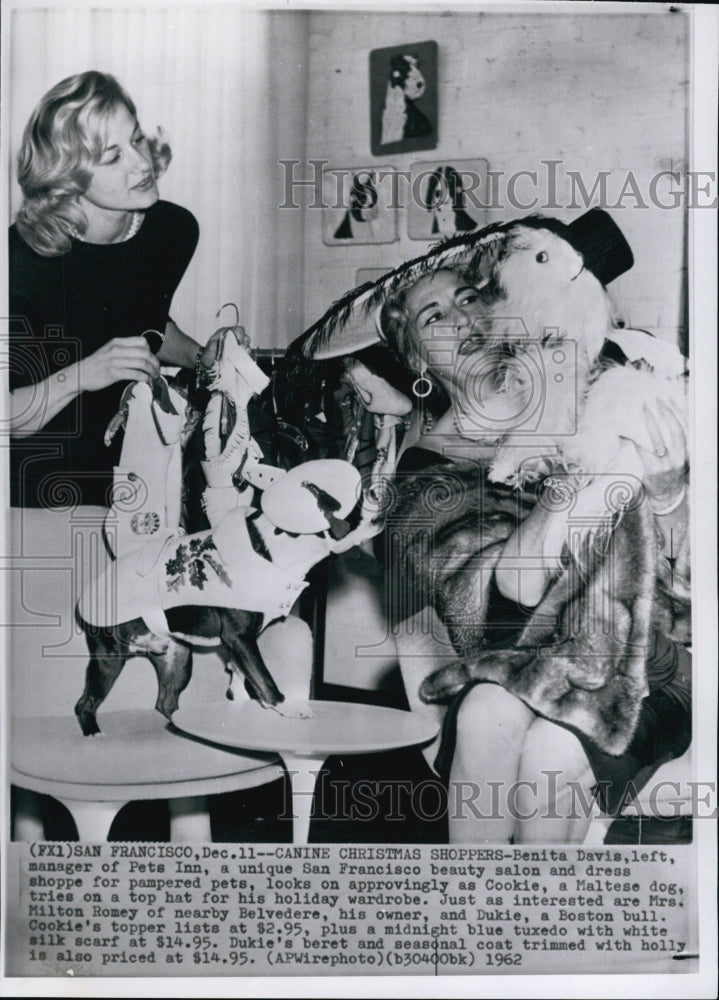 1962 Press Photo Benita Davis Manager of Pets Inn a Beauty Salon for Animals - Historic Images