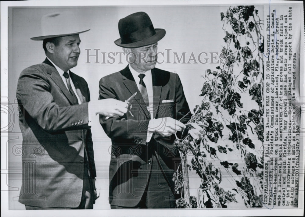 1962 Press Photo Governor Farris Bryant and Doyle Conner at FL Truck Farm - Historic Images