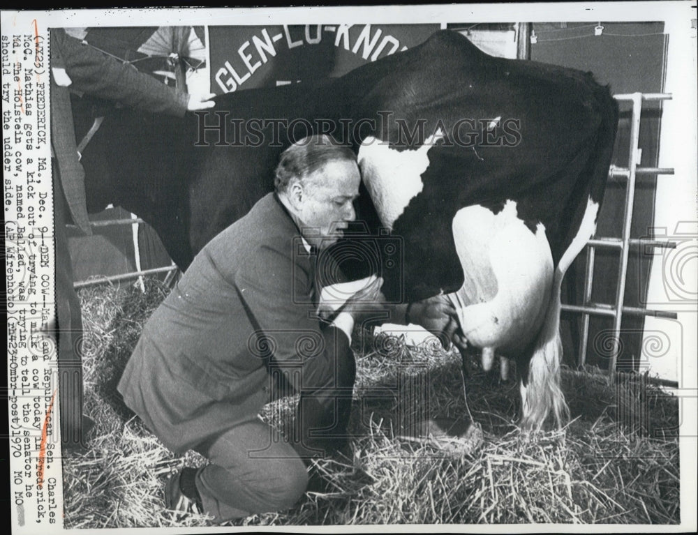 1970 Press Photo Sen Charles McCMathias milks a cow - Historic Images