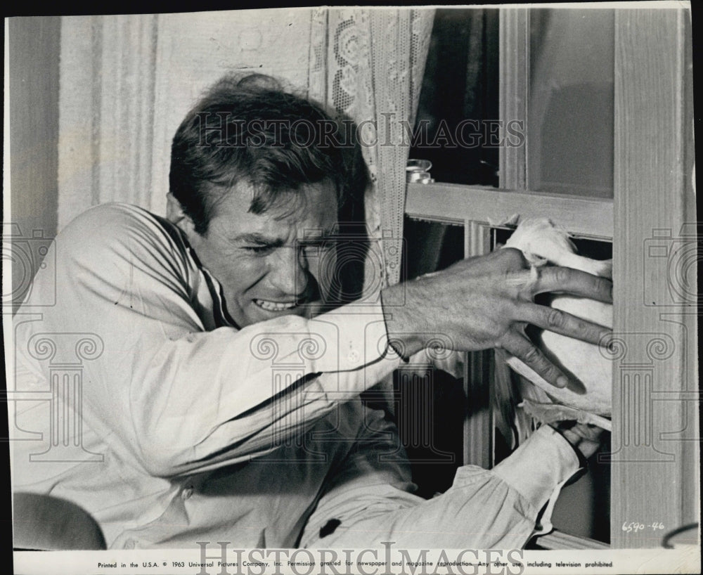 1963 Press Photo Rod Taylor in "The Birds" - Historic Images