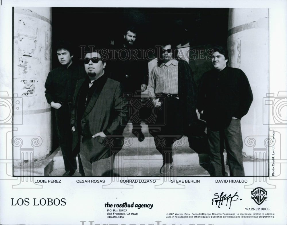 1987 Press PhotoLouie Perez/Cesar Rosas/Conrad Lozano/Steve Berlin/David Hidalgo - Historic Images