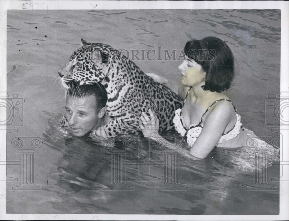 1964 Press Photo Edward Fenar /Elyn and Jango The Swimming Jaguar - Historic Images