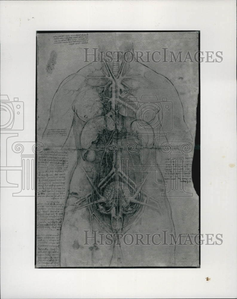 1992 Press Photo Art by Leonardo Da Vinci - Historic Images