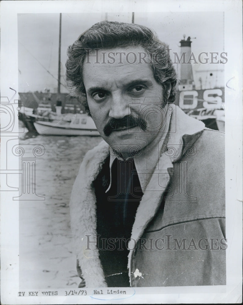 1973 Press Photo Actor Hal Linden - Historic Images