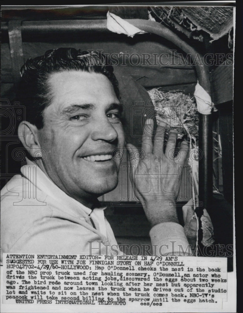 1960 Press Photo Hap O'Donnell checks the nest in the back - Historic Images