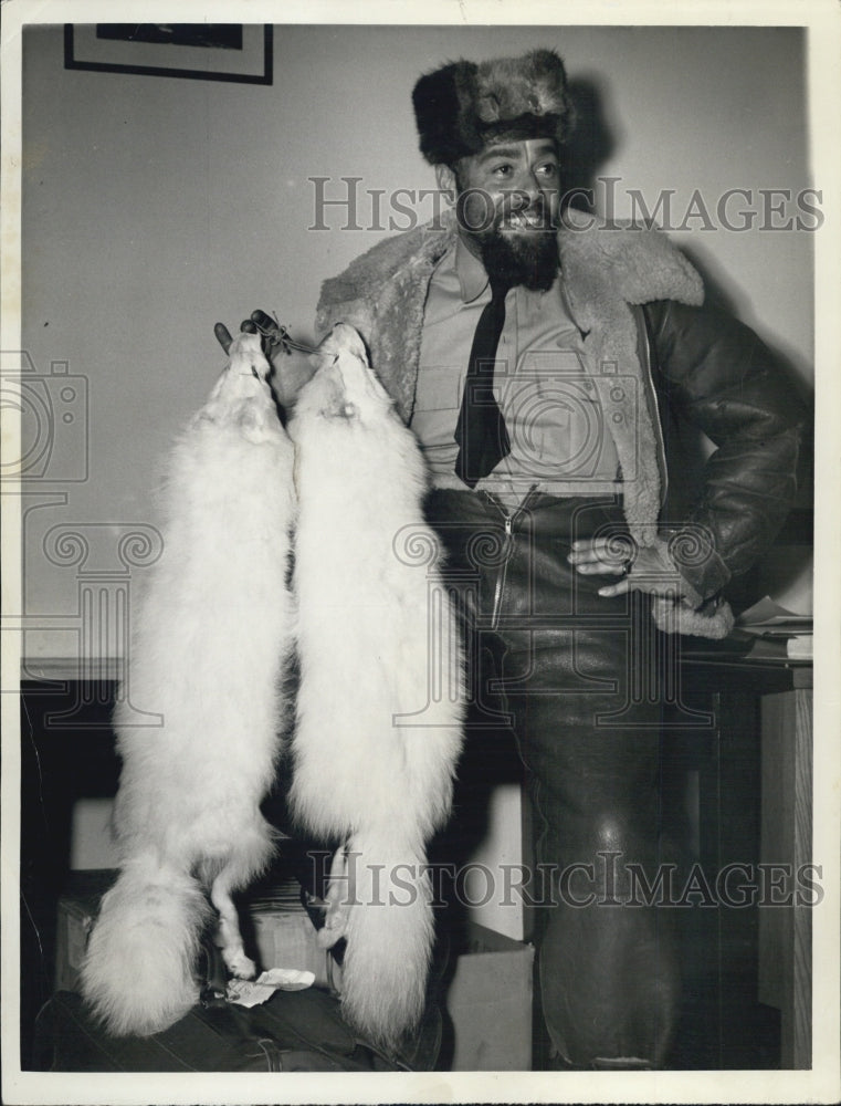 1943 Press Photo Al Brito Worked in Greenland a has Two White Fox Furs - Historic Images