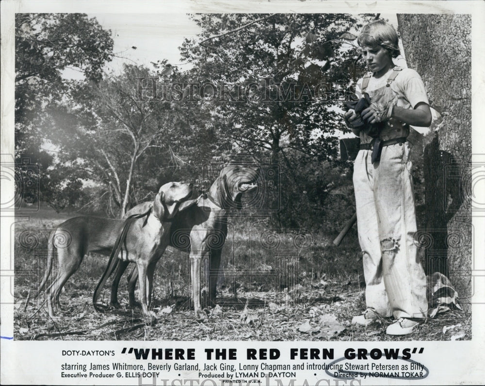 1974 Press Photo Where The Red Fern Grows - Historic Images