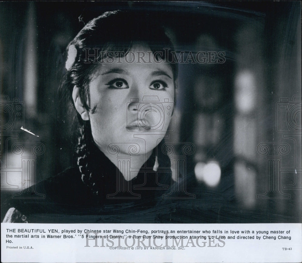 1973 Press Photo Wang Chin-Feng in the film "5 Fingers of Death" - Historic Images