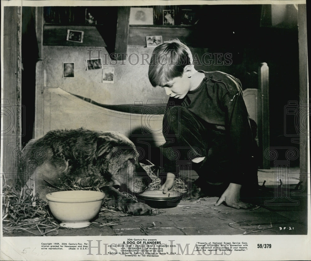 1960 Press Photo Actor David Ladd In &quot;A Dog Of Flanders&quot; - Historic Images