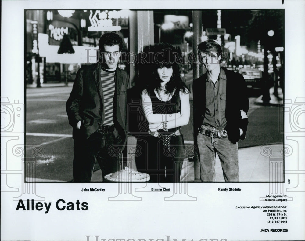 1982 Press Photo Alley Cats - Historic Images