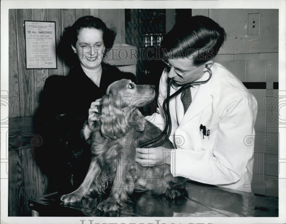 1942 Press Photo Cocker Spanel Breeders' Club - Historic Images