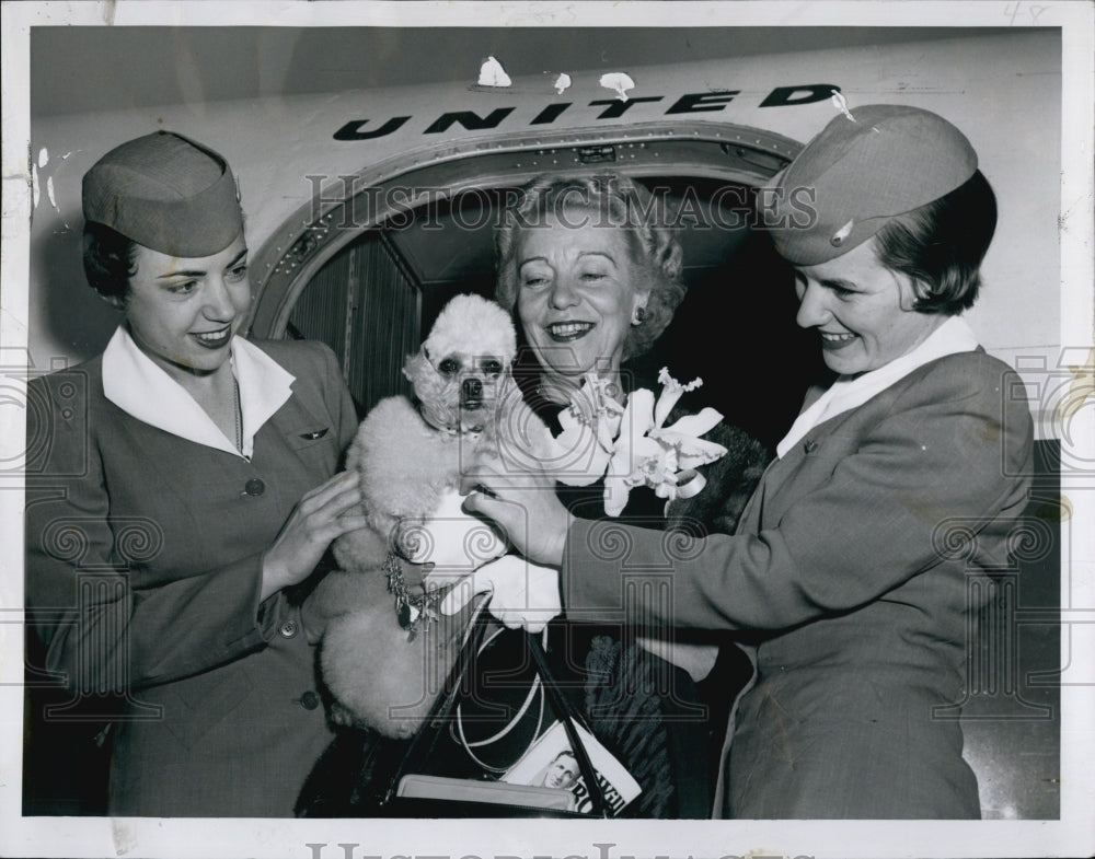 1955 Press Photo Mrs. John Lemmon And Honey Bun - Historic Images