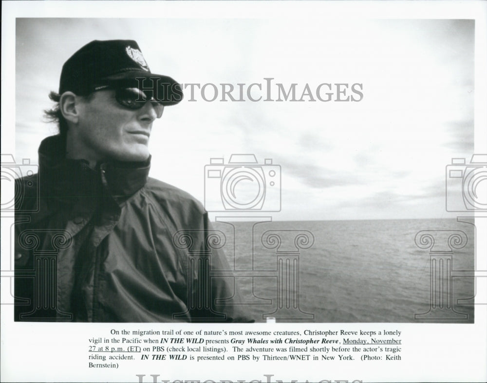 1995 PBS Show In The Wild Christopher Reeve Host Episode Gray Whales-Historic Images