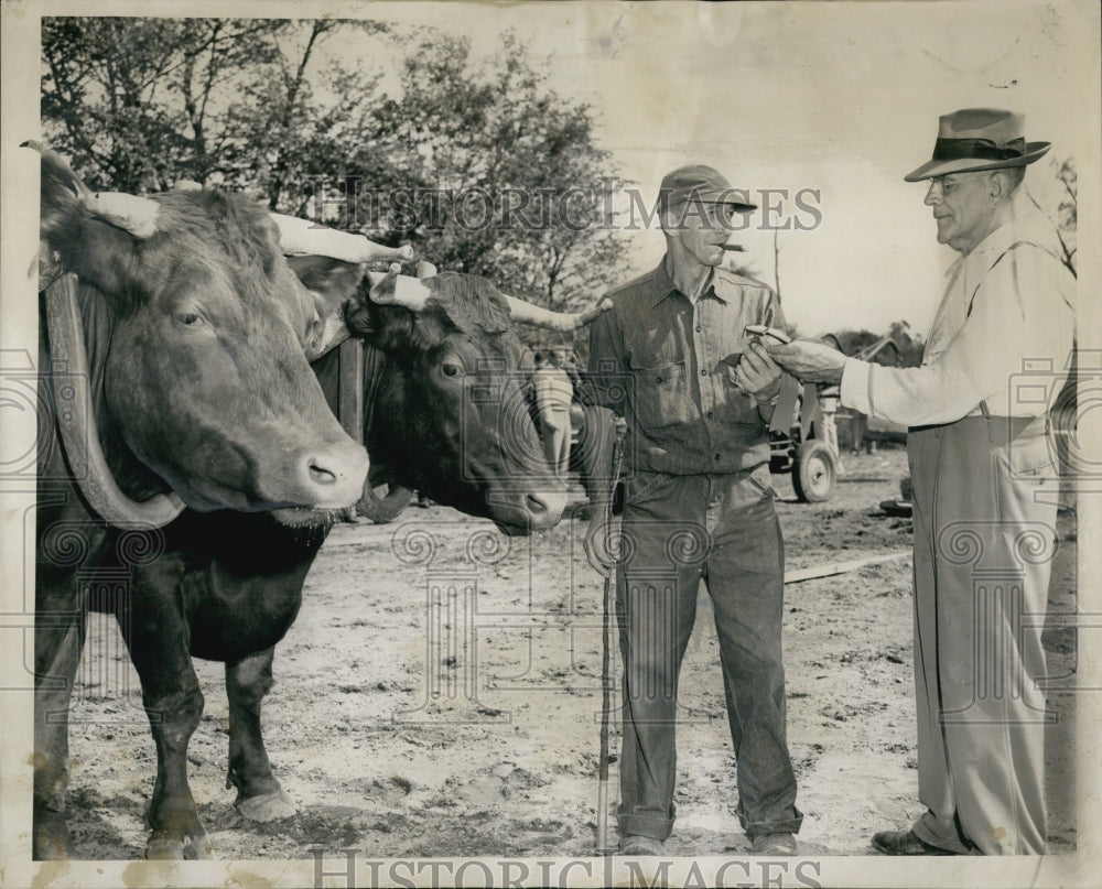 1951 Frank Pinkham won the "Duke and Jerry" oxen Pulling.-Historic Images