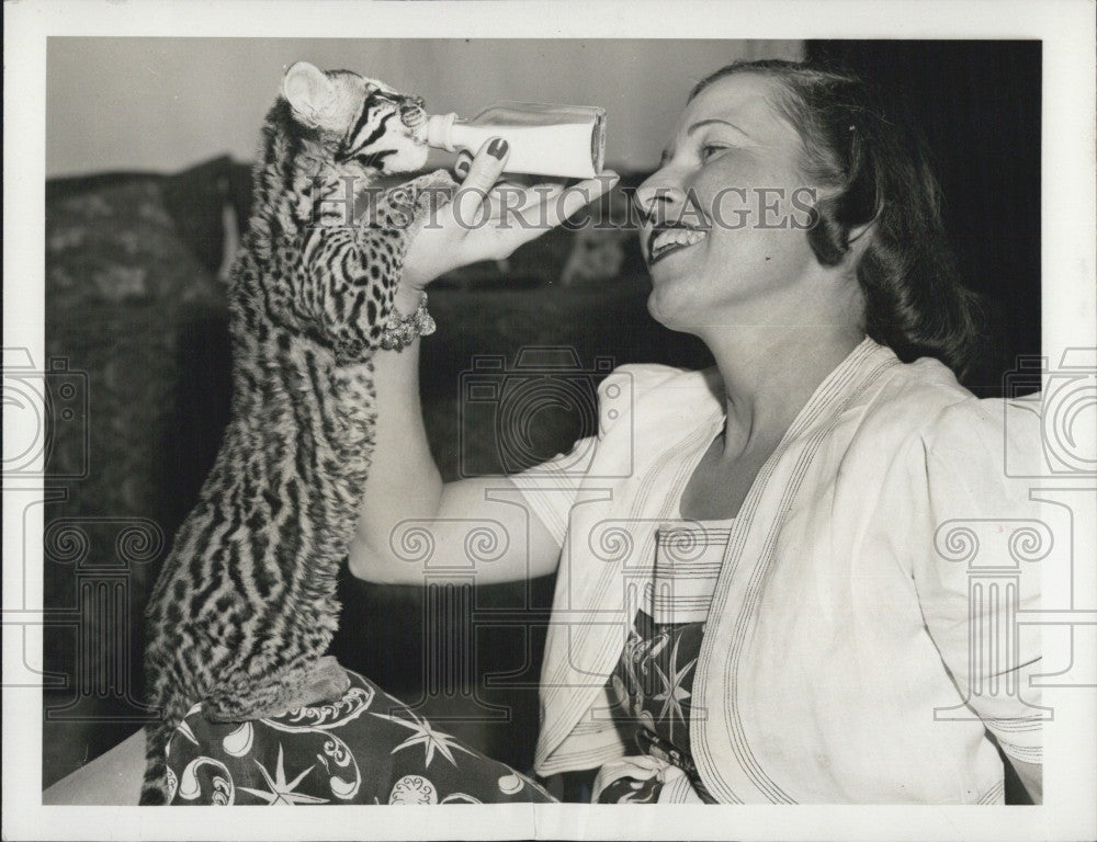 1952 Press Photo Jane Case And Ocelot - Historic Images