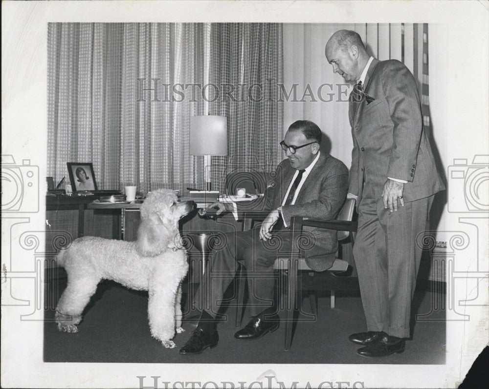 1966 Press Photo Stanley Elkman &amp; Larry Young &amp; a poodle - Historic Images