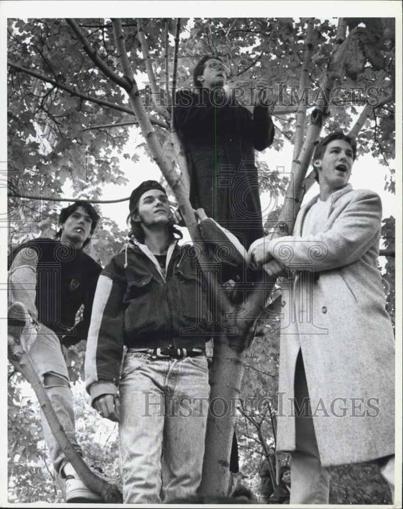 1990 Press Photo Fans Climb Trees to See &quot;Cheers&quot; Cast at City Hall Plaza Boston - Historic Images