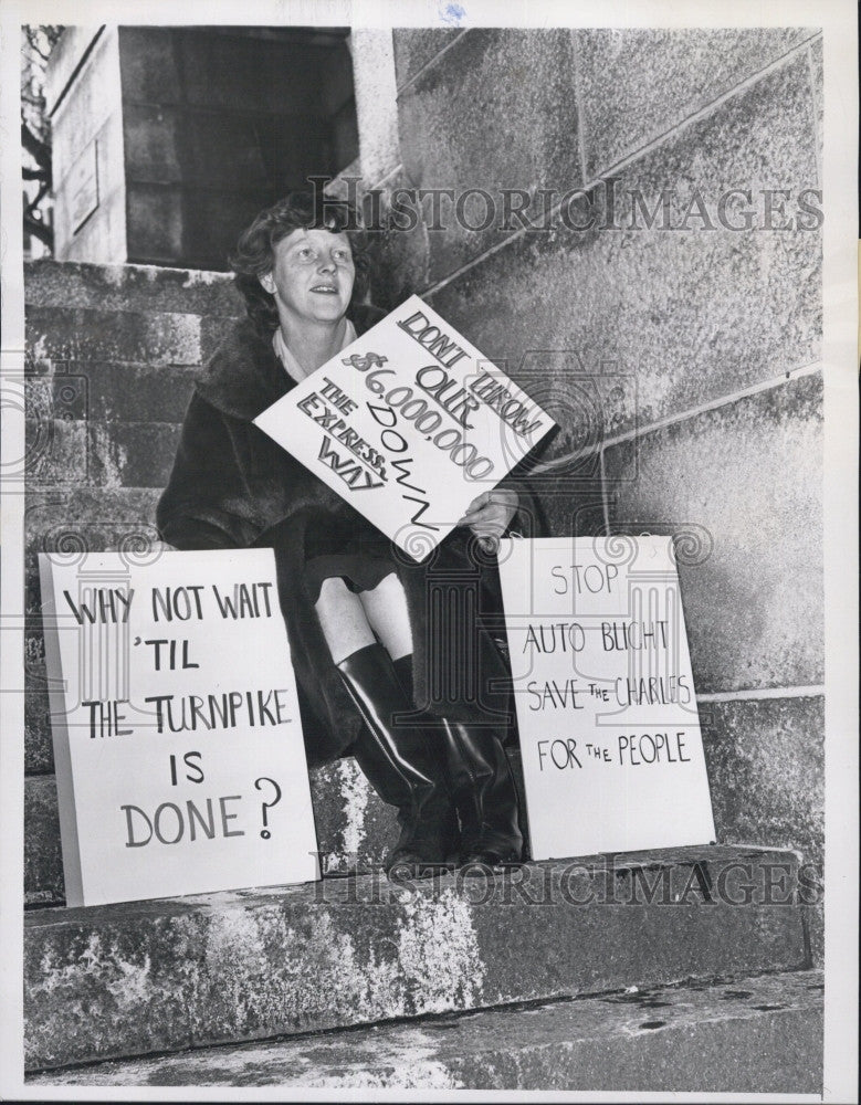 1964 Press Photo Mrs Peter Snyder protests new expressway - Historic Images