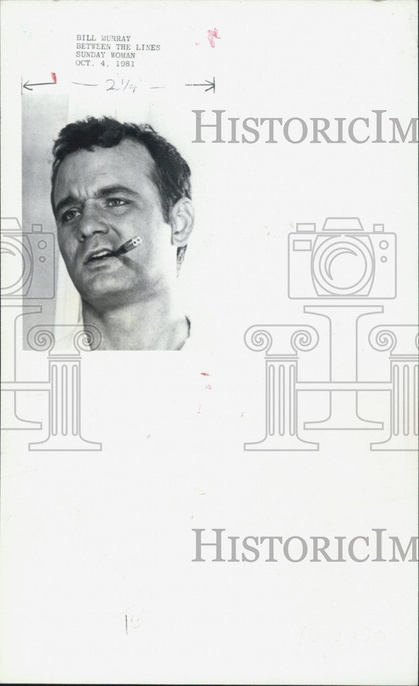 1981 Press Photo Actor Bill Murray - Historic Images