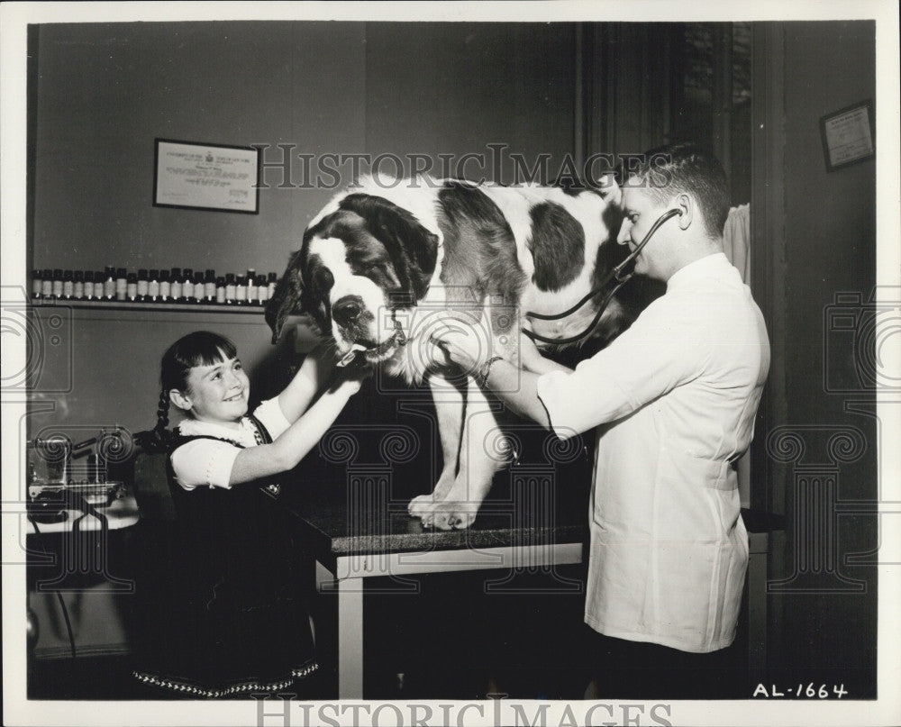 1958 Press Photo Patty Ann Gerrity &amp; vet Dr Wm P King &amp; her St Bernard - Historic Images