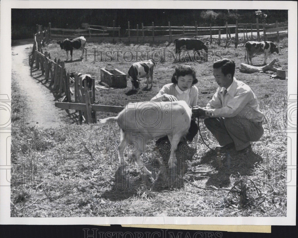 1952 Press Photo Princess Yori of Japan &amp; husband Takamasa Ikeda on their farm - Historic Images