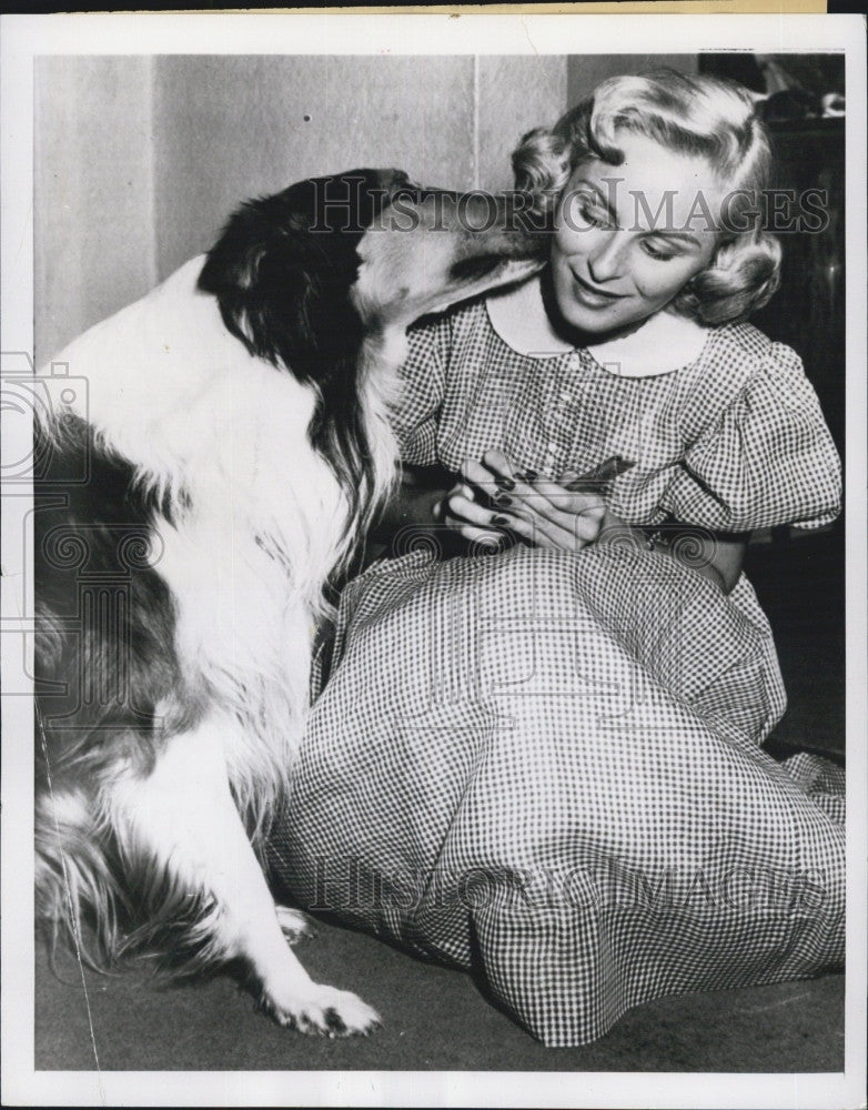 1951 Press Photo Actress Evelyn Lieberman&#39;s dog Sir Launcelot in custody battle - Historic Images