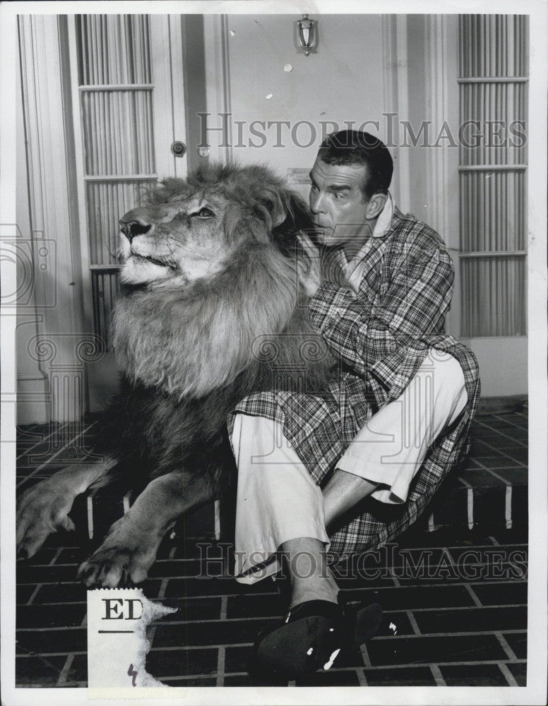 1971 Press Photo Fred Mac Murray &amp; Lion in &quot;America Grew Up With My Three Sons&quot; - Historic Images